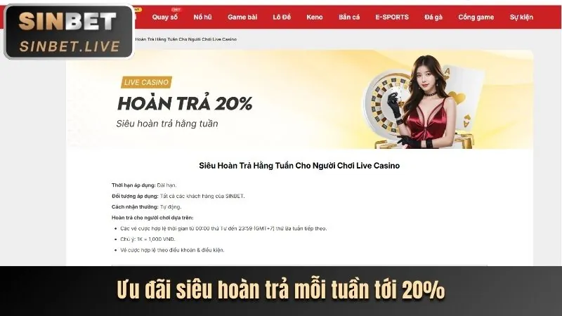 Hoàn trả hàng ngày/tuần không giới hạn